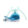 Water Whale