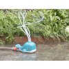 Water Whale