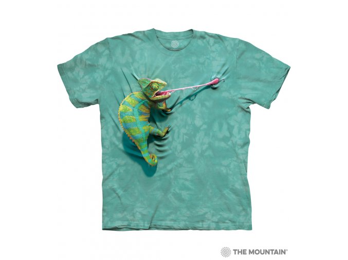 15 4052 Climbing Chameleon