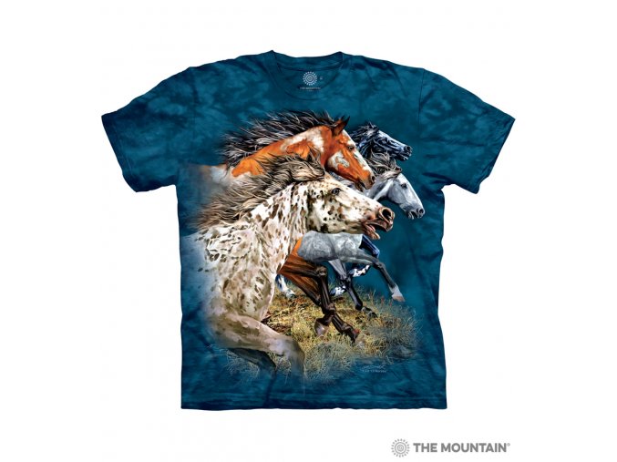 10 3538 Find 13 Horses