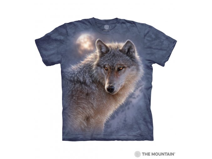 10 4013 Adventure Wolf