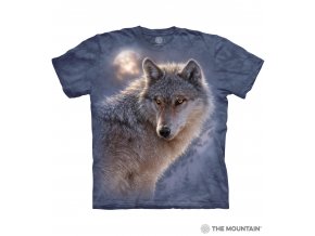 10 4013 Adventure Wolf