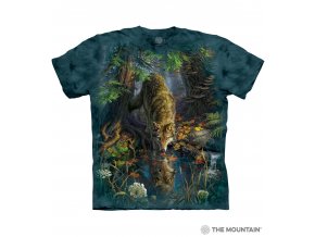 10 4866 Enchanted Wolf