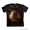 10 3263 Rottweiler Face