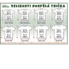 dospele tricka velikosti