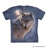 10 4013 Adventure Wolf