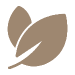 Eko