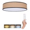 LED osvětlení s dálkovým ovladačem Brownie, 60W, 4200lm, 50cm, změna chromatičnosti, stmívatelné