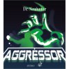 aggressor 2[1]