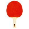 FUN Orange Ed bat front[1]