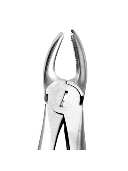 [5025 17] Diamond Extraction Forceps Fig. 17. Upper Molars Right