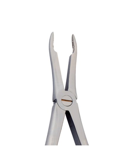 [5025 41] Fig. 41. Upper Roots