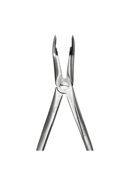 [5025 46] Fig. 46. Upper Roots