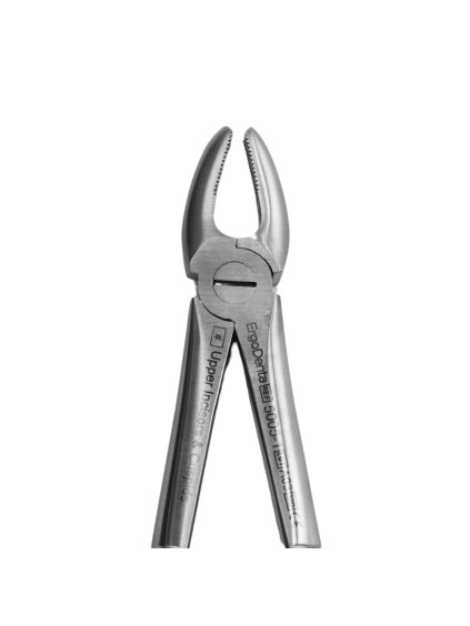[5005 1] Extraction Forceps Fig. 1. Upper Incisors & Molars