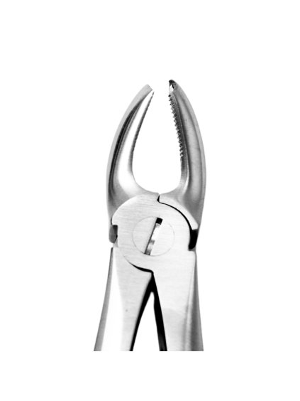 [5005 17] Extraction Forceps Fig. 17. Upper Molars Right