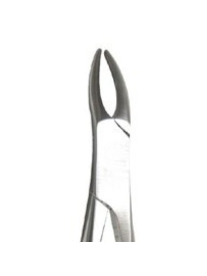 [5005 OK] Universal Upper Roots Extracting Forceps