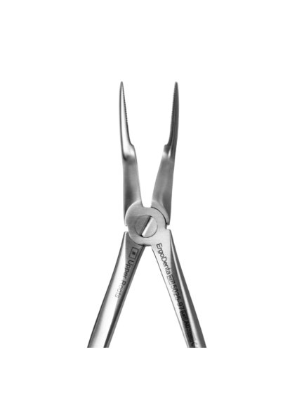 [5025 97] Fig. 97. Upper Roots