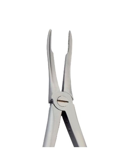 [5025 144] Fig. 144. Upper Roots