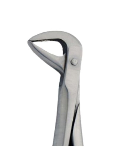 [5025 86B] Fig. 86B. Lower Molars