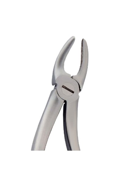 [5025 99] Fig. 99. Hertz (Lower Molars)