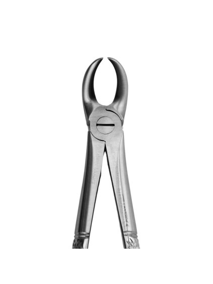 [5005 87] Fig. 87. Lower Molars