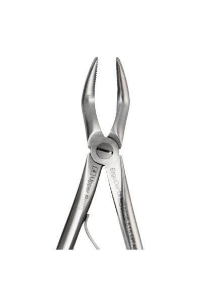 [5020 51S] Fig. 51S, Upper Roots