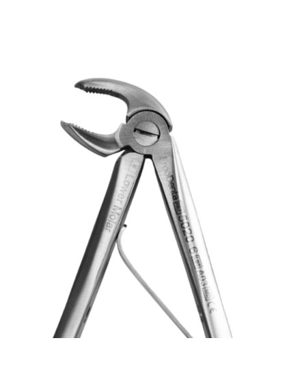 [5020 6] Fig. 6, Lower Molar