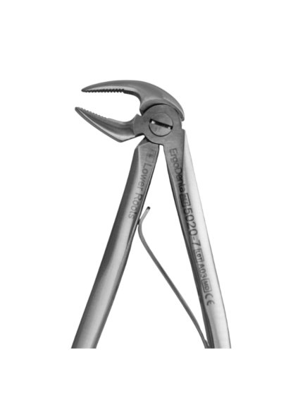 [5020 7] Fig. 7, Lower Roots