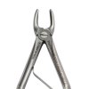 [5010 139] Extraction Forceps Children Fig. 139 Upper Pre Molar