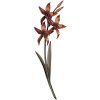 Bronzová orchidej na náhrobek, 42×15 cm