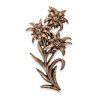 Bronzový Edelweiss na náhrobek, 26×15 cm