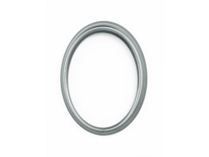 0000260 r50412n ramik verbena matt silver 550