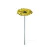 Bronzová gerbera na náhrobok, Ø 6–8 cm