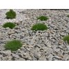 Mulch gravel for landscape projects and outdoor design - natural stones for garden decoration. .
