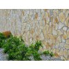 Fieldstones Limestone facade with irregular yellow-beige pattern on exterior wall surrounded by greenery.