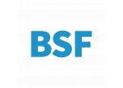 Sadové závitníky - BSF