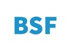 Závitové vložky - BSF