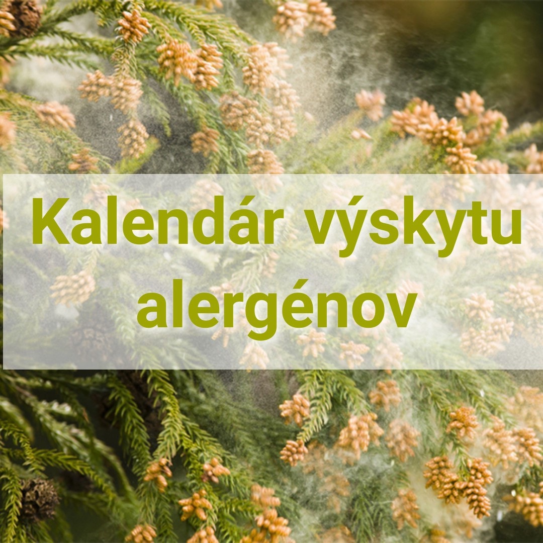 Základný peľový kalendár