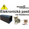 Elektricka pastWP