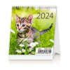 201534 stolovy kalendar minimax kittens 2024