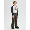 Chlapecké Kalhoty Burton Barnstorm Pants Forest Night