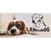 kingdog pelechy pre psov
