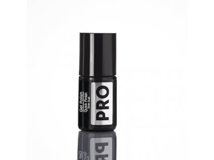 PRO QUICK FINISH SILVER DUST NA NECHTY 5 ML
