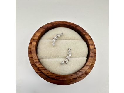 Strieborné náušnice vetvička s kamienkami