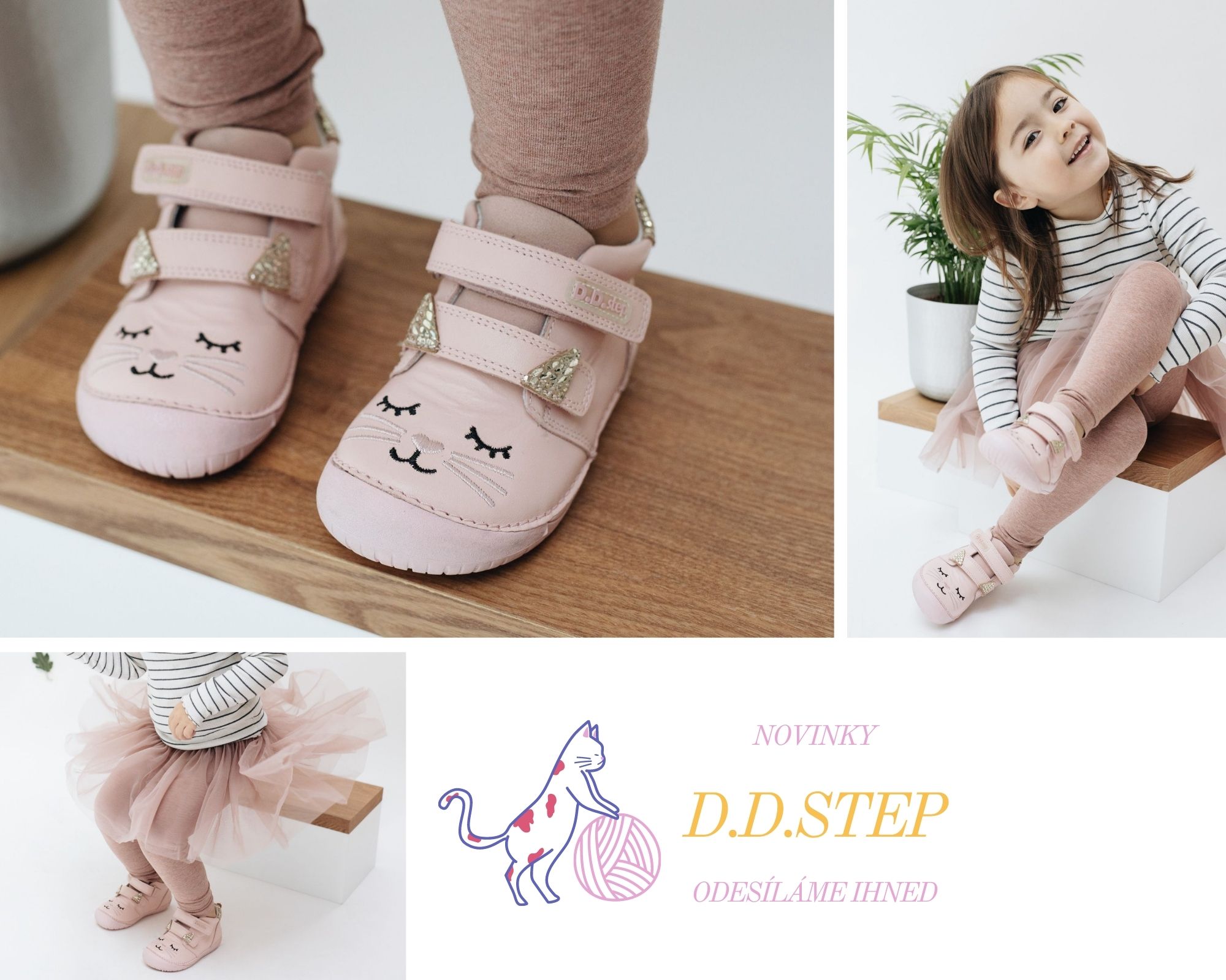 DDstep novinky