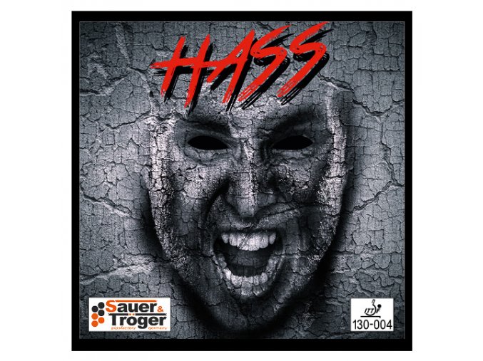hass front web
