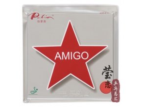 Palio - Amigo 40+