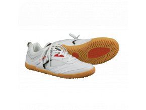 shoe progress rotario