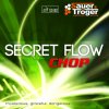 SAUER&TROGER - Secret Flow Chop