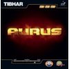 Tibhar - Aurus